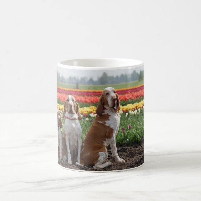 Bracco_italiano group.png kaffeetasse (Mittel)
