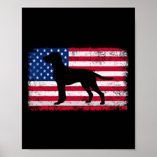 Bracco Italiano Liebhaber 4. Juli Patriotisch Amer Poster