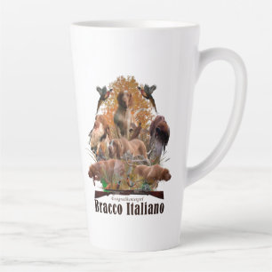 Bracco Italiano Tasse