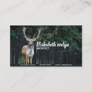 Brachwild Visitenkarte