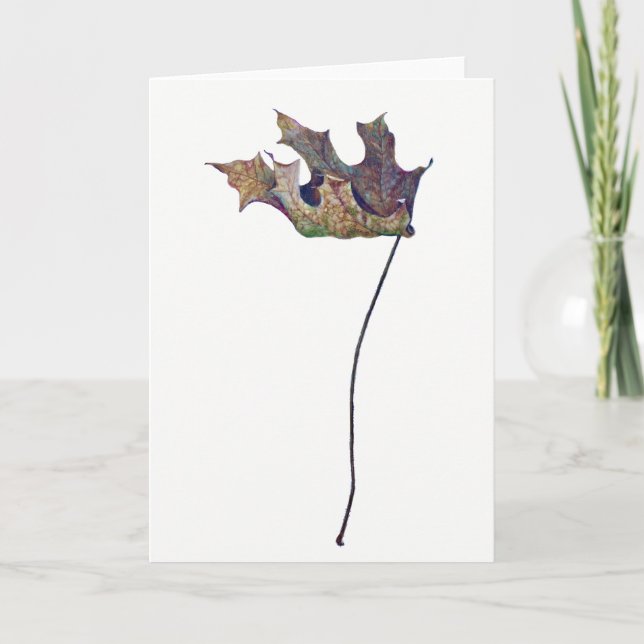 Brachychiton B. australis Leaf Greeting Card Karte (Vorderseite)