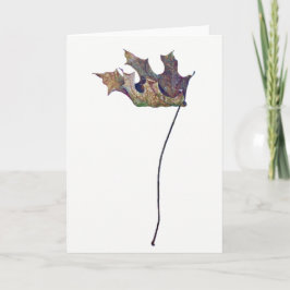 Brachychiton B. australis Leaf Greeting Card Karte