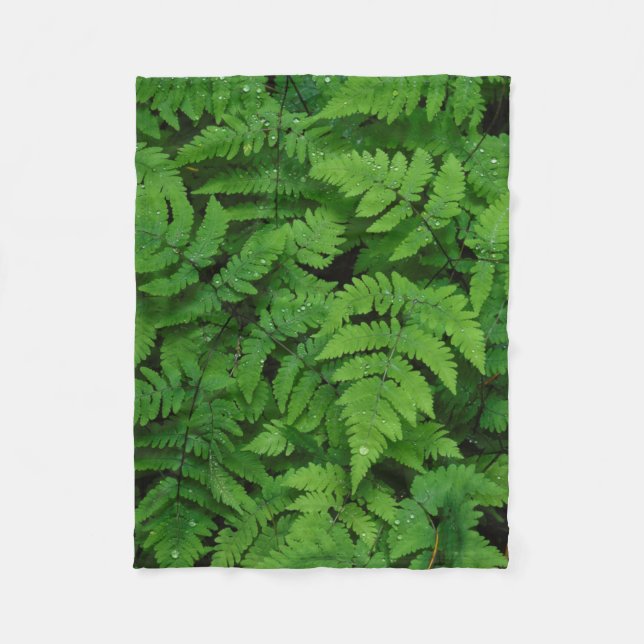 Bracken Farn mit Regentropfen, Washington Staat Fleecedecke (Vorderseite)