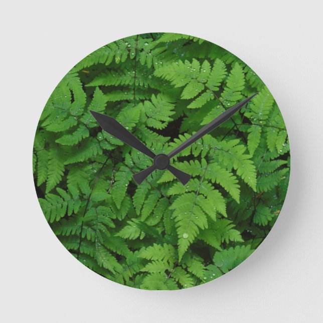 Bracken Farn mit Regentropfen, Washington Staat Runde Wanduhr (Vorderseite)