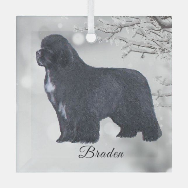 Braden Newf for Carol Ornament Aus Glas (Vorderseite)