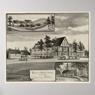 Bradford-Mineral-Frühlinge Poster