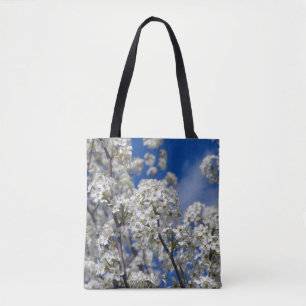 Bradford Pear Blooms