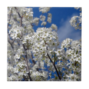 Bradford Pear Blooms Fliese