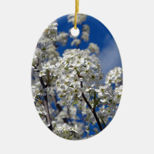 Bradford Pear Blooms Keramik Ornament
