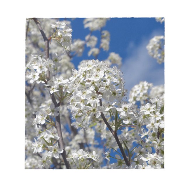 Bradford Pear Blooms Notizblock (Vorderseite)
