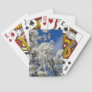 Bradford Pear Blooms Spielkarten