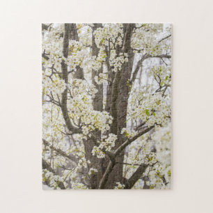 Bradford Pear Tree White Spring Floral Nature Puzzle