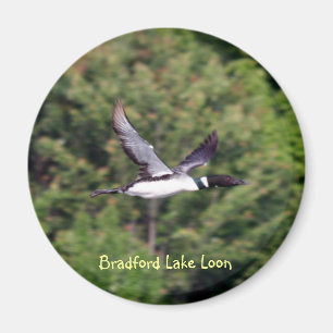 Bradford Seeloon-Magnet Magnet