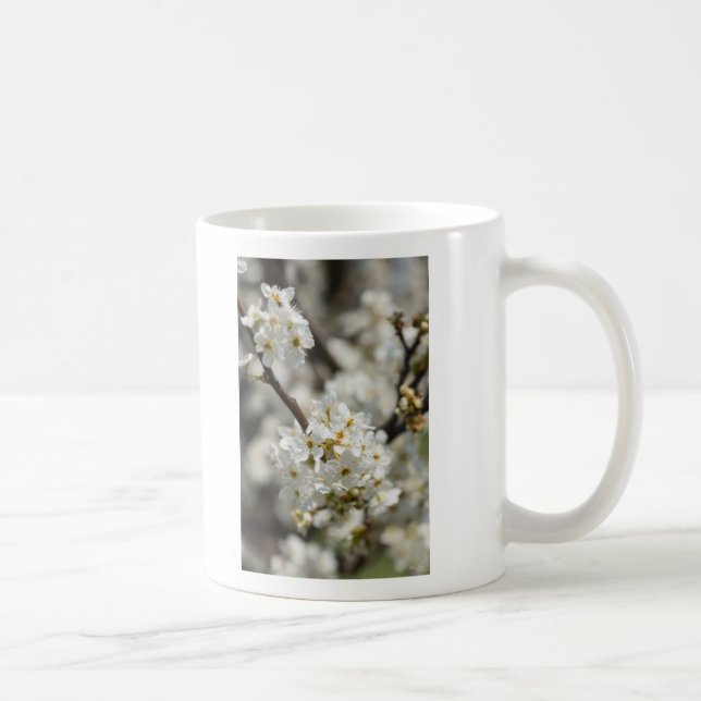 Bradford Select Focus Kaffeetasse (Rechts)