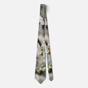 Bradford Select Focus Krawatte