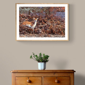 Bradgate Park Fotodruck