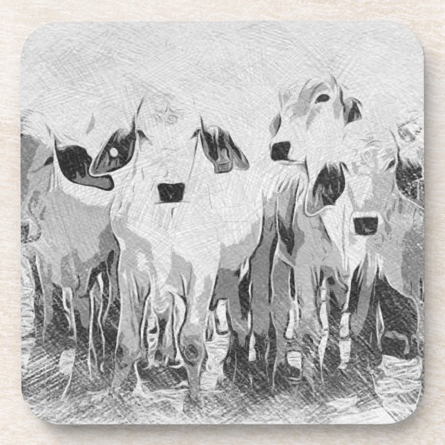 Brah-avo-Set mit 6 Untersetzer (Vorderseite)