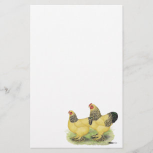 Brahma Buff Pair Briefpapier