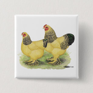 Brahma Buff Pair Button