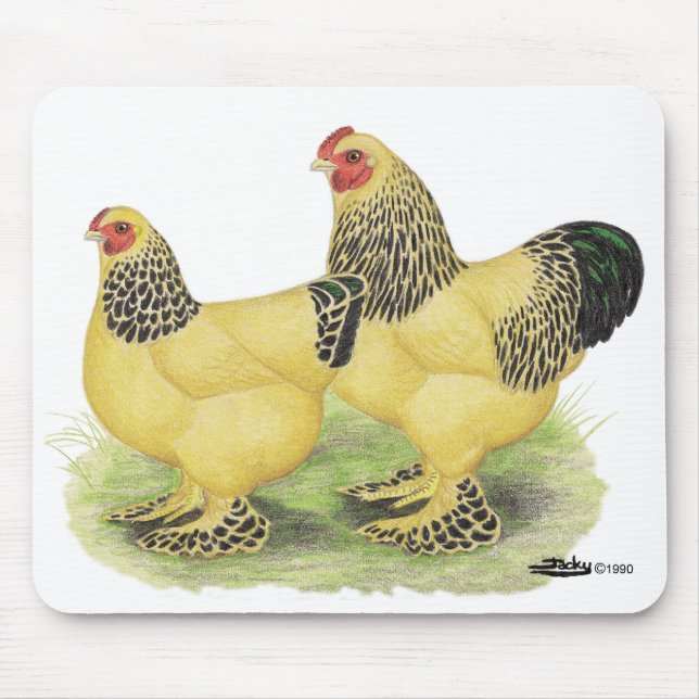Brahma Buff Pair Mousepad (Vorne)