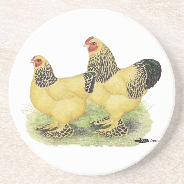 Brahma Buff Pair Sandstein Untersetzer (Vorne)