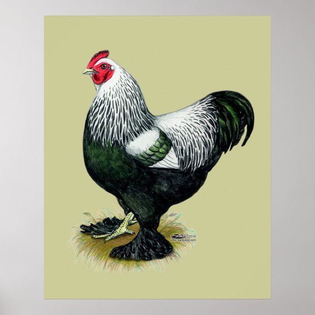 Brahma: Dunkle Liste Poster (Vorne)