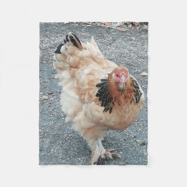 Brahma Huhn, das einen Stroll. nimmt Fleecedecke (Vorderseite)