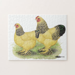 Brahma lederfarbene Paare Puzzle