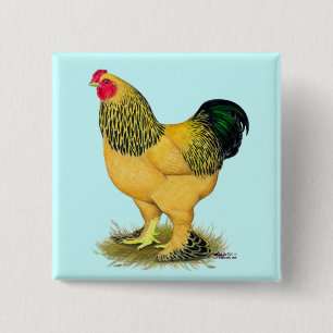 Brahma: Lederfarbener Hahn Button