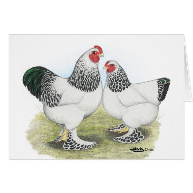 Brahma: Licht 2 (Vorderseite (Horizontal))