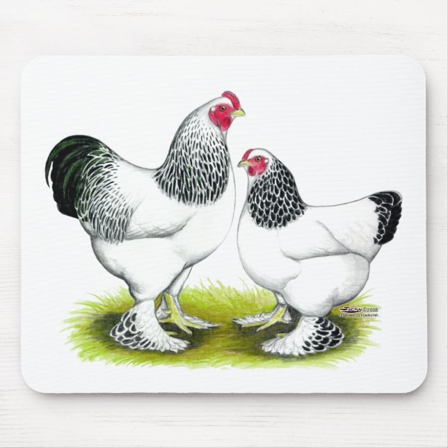 Brahma:  Licht Mousepad (Vorne)