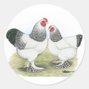 Brahma:  Light2 Runder Aufkleber