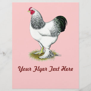 Brahma: Light Rooster Flyer