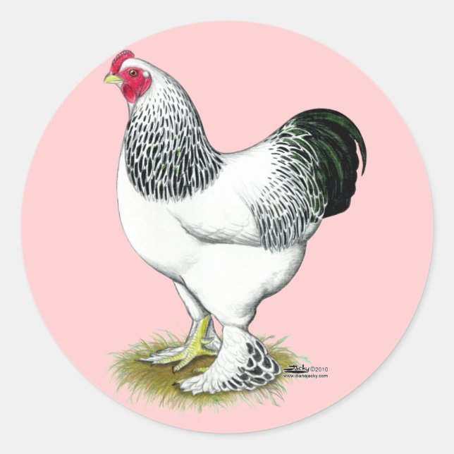 Brahma: Light Rooster Runder Aufkleber (Vorderseite)