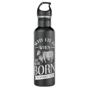 Brahman Bull Cattle Mini Zebu Kuh Premium Edelstahlflasche