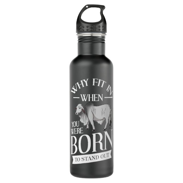 Brahman Bull Cattle Mini Zebu Kuh Premium Edelstahlflasche (Vorderseite)