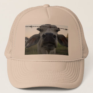 BRAHMAN BULL IN LÄNDLICHEM AUSTRALIEN TRUCKERKAPPE