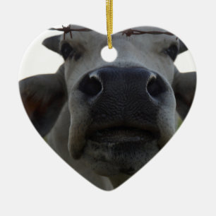 BRAHMAN-KUH-OCHSE LÄNDLICHES QUEENSLAND AUSTRALIE KERAMIKORNAMENT