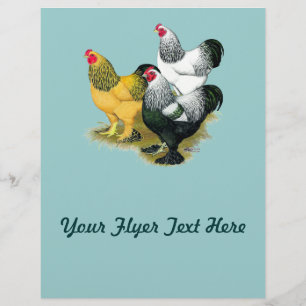 Brahmas Drei Hähne Flyer