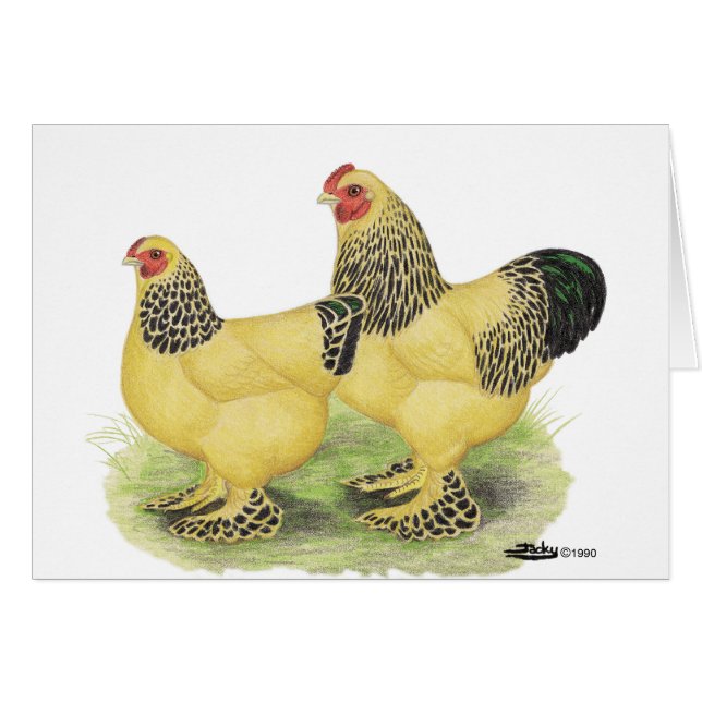 Brahmas:  Lederfarbene Zwerghühner (Vorderseite (Horizontal))