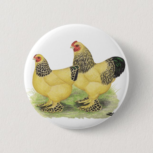 Brahmas:  Lederfarbene Zwerghühner Button (Vorderseite)