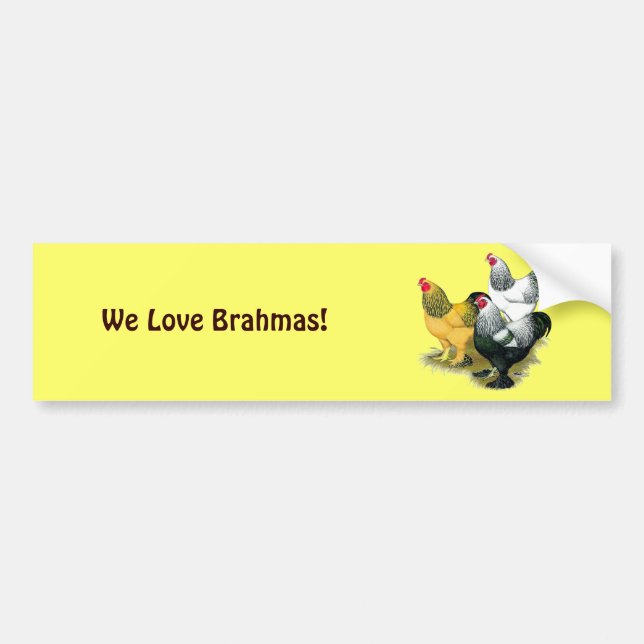 Brahmas Three Roosters Autoaufkleber (Vorne)