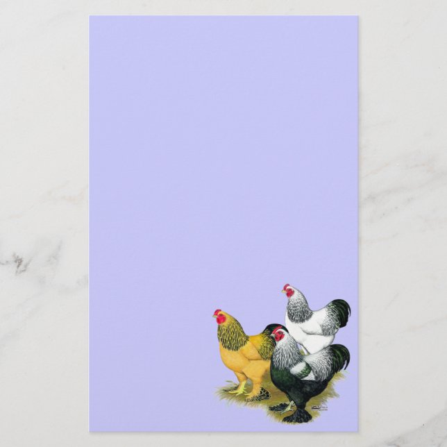 Brahmas Three Roosters Briefpapier (Vorderseite)