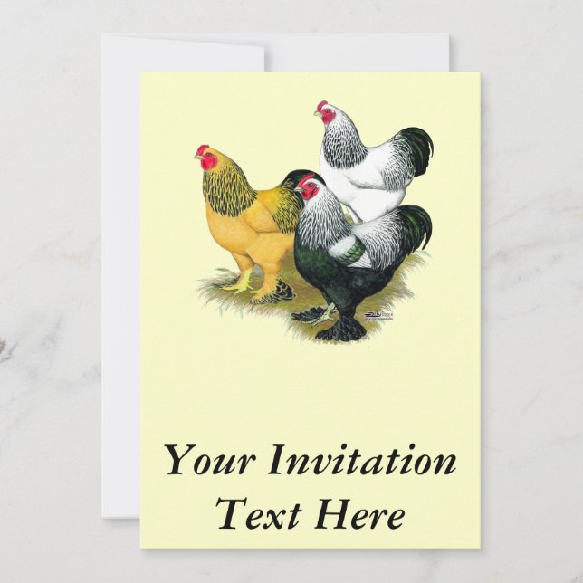 Brahmas Three Roosters Einladung (Vorderseite)