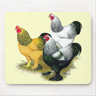 Brahmas Three Roosters Mousepad