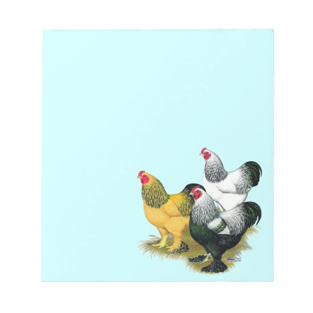 Brahmas Three Roosters Notizblock (Vorderseite)