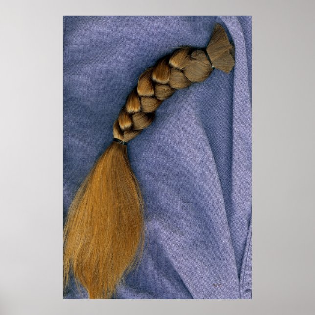 Braid Poster (Vorne)