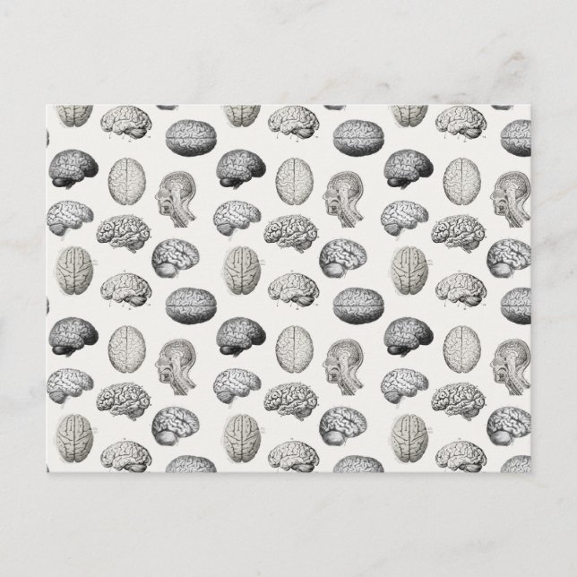 Brain Anatomy Biology Illustrations Feiertagspostkarte (Vorderseite)