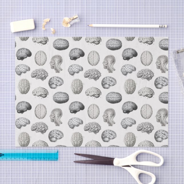 Brain Anatomy Biology Illustrations Seidenpapier (Handwerk)