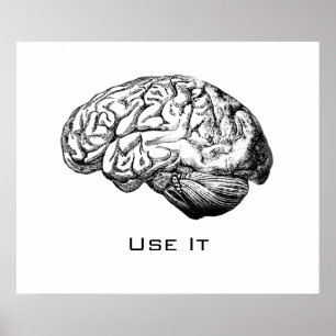 Brain Anatomy - Use It Poster